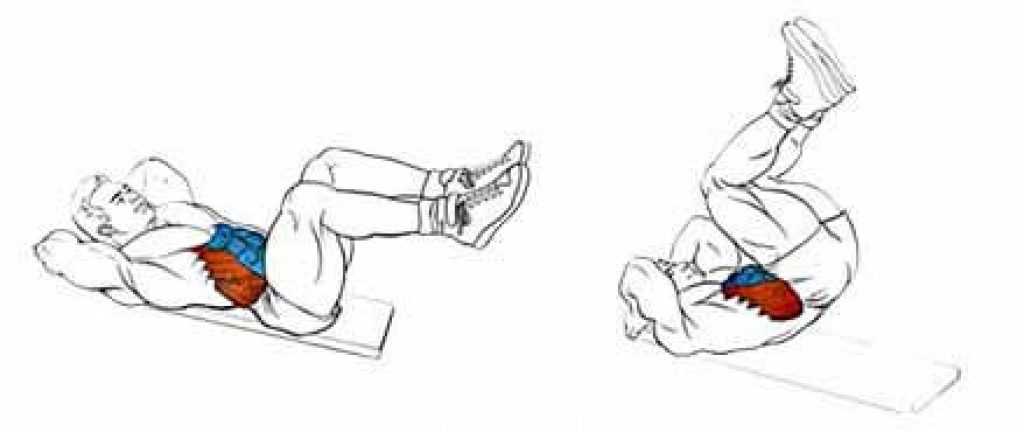 Подъем ног на наклонной скамье: техника выполнения лежа, видео | твой фитнес