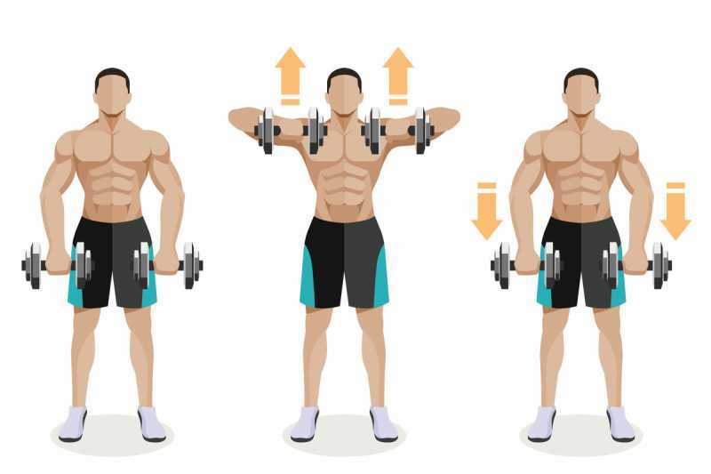 Тяга штанги к подбородку широким и узким хватом: тренинг в разных вариантах и техниках | rulebody.ru — правила тела