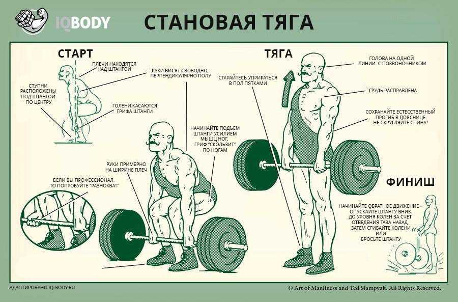 Румынская тяга: техника выполнения, какие мышцы работают - tony.ru