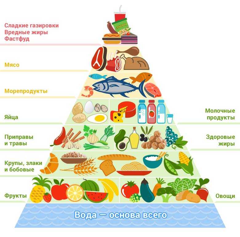 Пищевая пирамида (питание) - food pyramid (nutrition) - abcdef.wiki