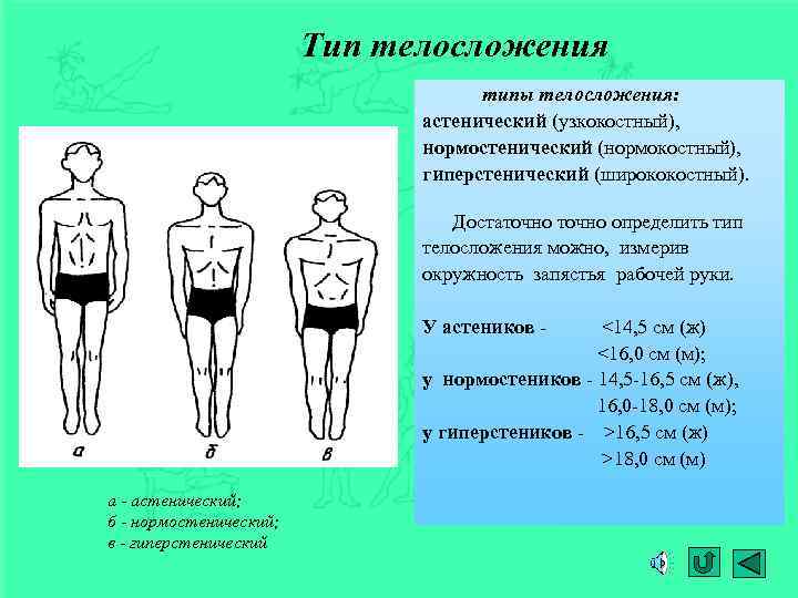 Программа тренировок для девушек по типу телосложения. какая она?    
программа тренировок для девушек по типу телосложения. какая она?