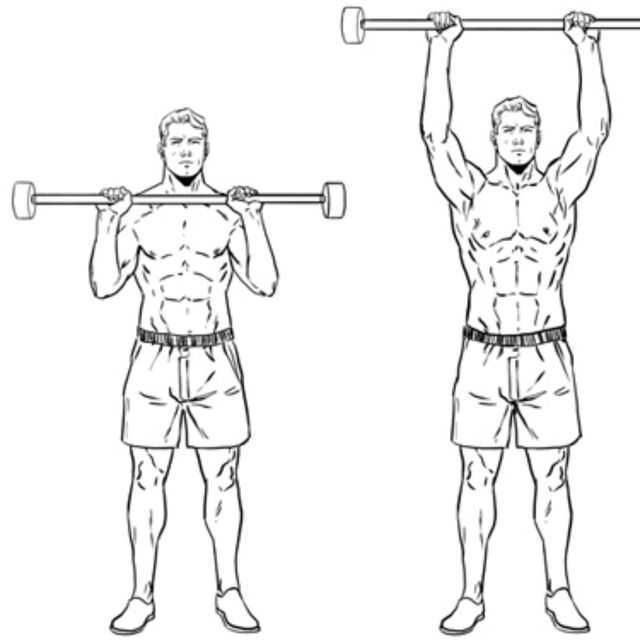 Армейский жим — упражнение для мышц плечевого пояса