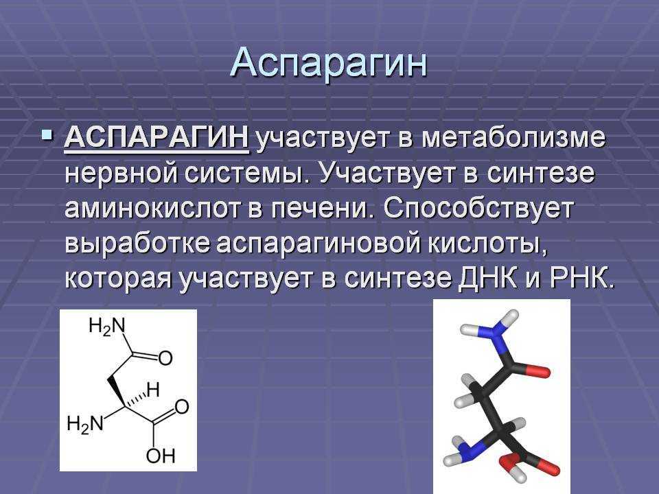 Аспарагиновая кислота: характеристика, формула, воздействие на организм и правила применения