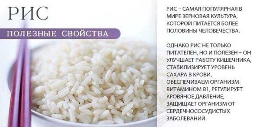 Красный рис: польза и вред, как правильно варить, калорийность и состав