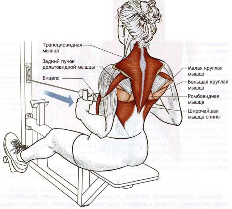 Упражнения на широчайшие мышцы спины со своим весом