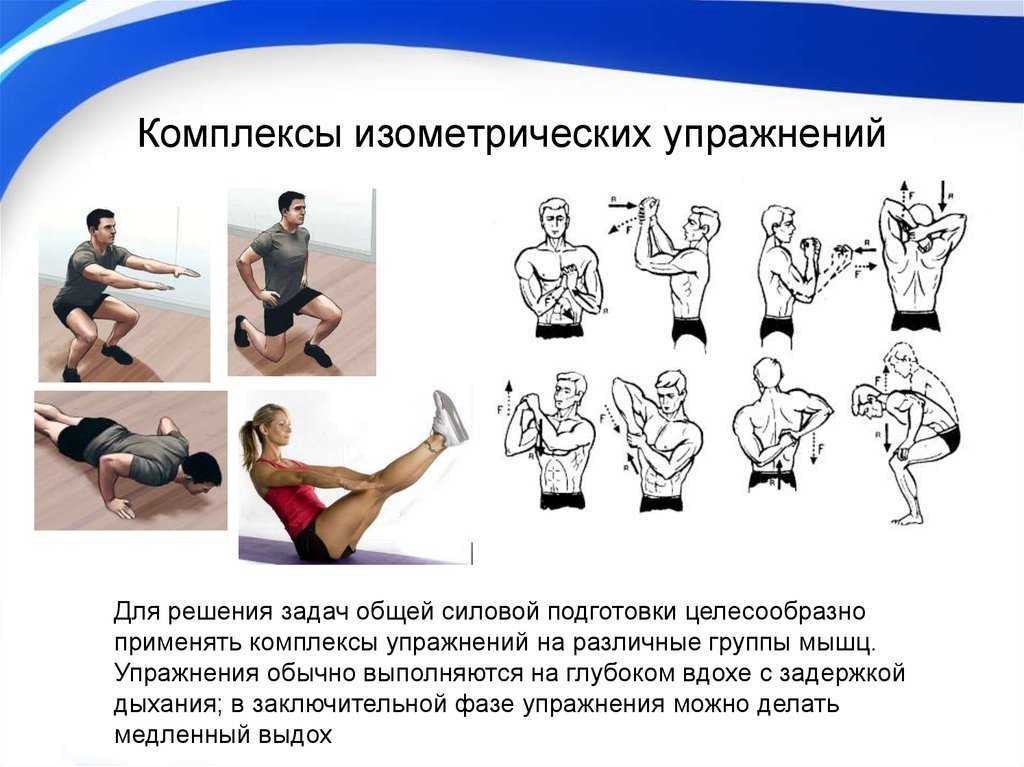 Динамические и изометрические упражнения «самсона». уникальная система изометрических упражнений железного самсона