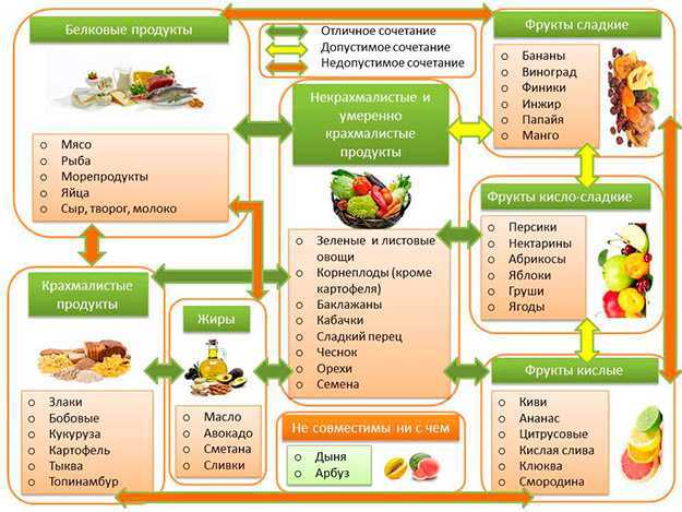 Таблица совместимости продуктов при раздельном питании