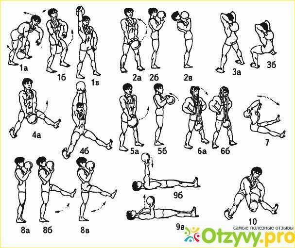 Упражнения с гирей на плечи, грудь и руки – базовый курс. как накачать грудные мышцы при помощи гири
