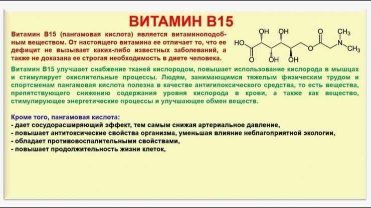 Витамин b15 (пангамовая кислота): свойства, источники, норма