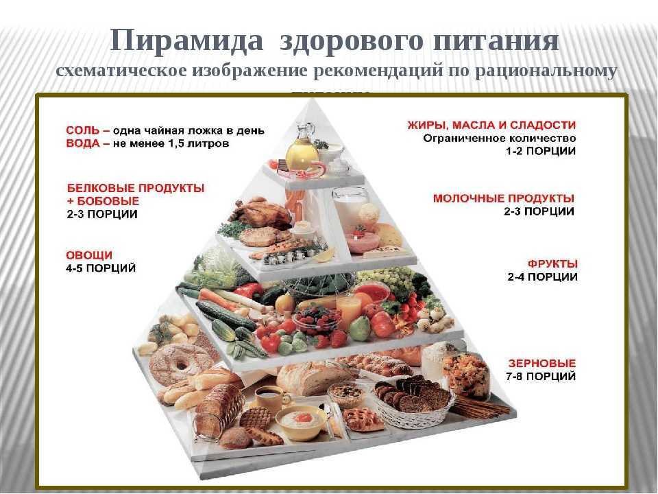Пищевая пирамида или пирамида правильного питания человека | irksportmol.ru