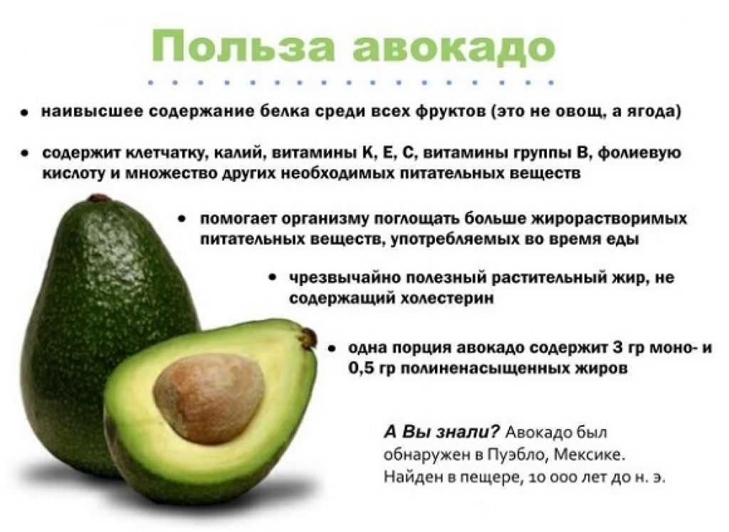 Авокадо польза и вред для организма и как его едят правильно