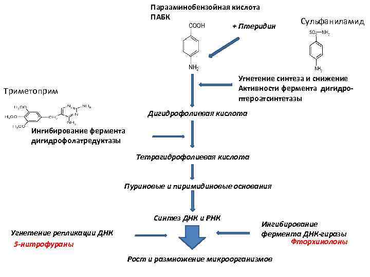 Витамин в10: в каких продуктах содержится парааминобензойная кислота, польза для волос и другие аспекты medistok.ru - жизнь без болезней и лекарств