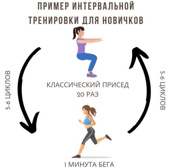 Что такое круговая тренировка, в чем ее особенности, какие упражнения и комплексы упражнений могут входить Принципы и эффективность данного вида тренировки