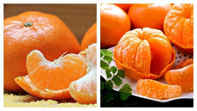 Мандарины польза и вред для здоровья. Отравление цитрусовыми. Отравление мандаринами симптомы. Польза и вред мандаринов.