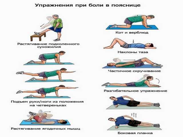 Комплекс эффективных упражнений на поясницу и низ спины