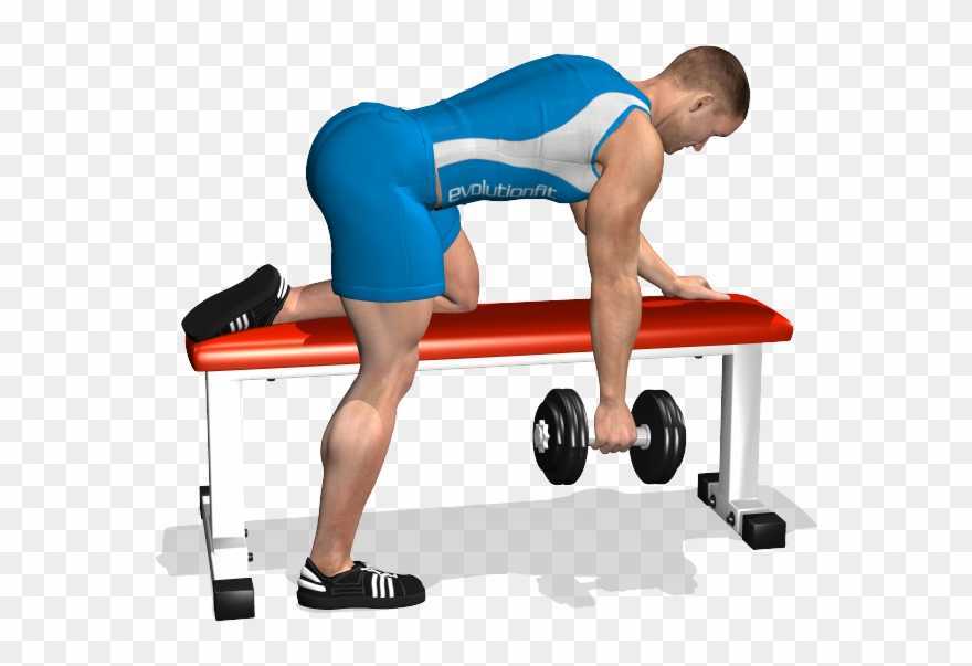 Тяга штанги к поясу в наклоне — тренировка мышц спины