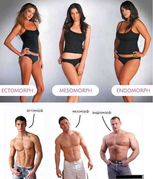 Типы телосложения у мужчин и женщин: как определить и скорректировать