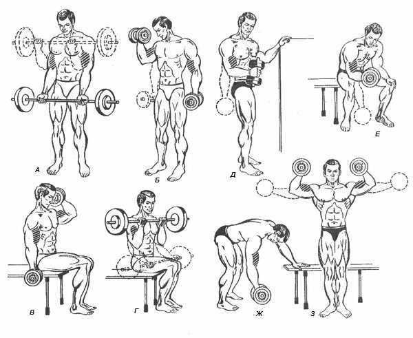 Какие упражнения для грудных мышц со штангой выполнять лучше всего Эффективные программы тренировок, советы и рекомендации