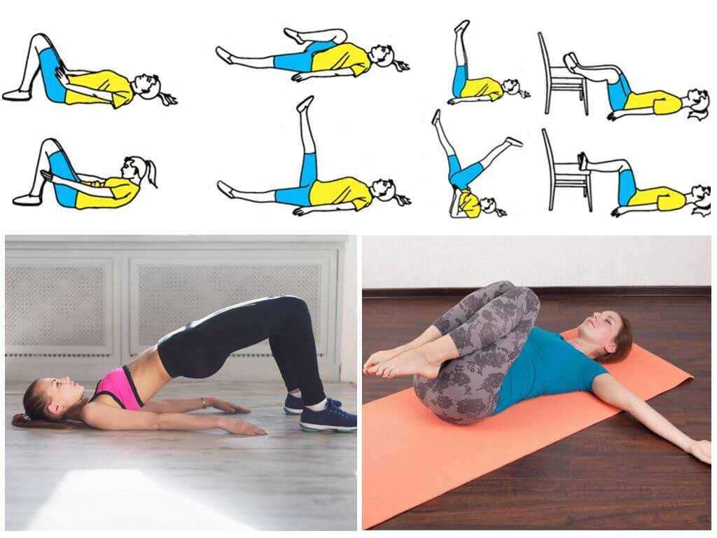 Упражнения для укрепления мышц спины собаки