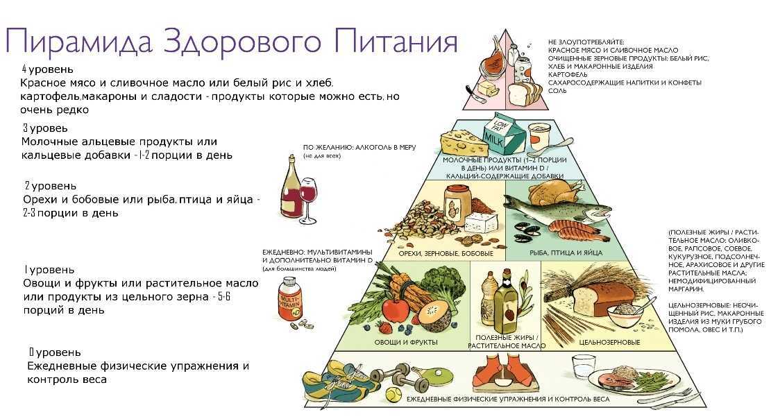 Пищевая пирамида - пищевая пирамида, правильное питание, пирамида питания, продукты
