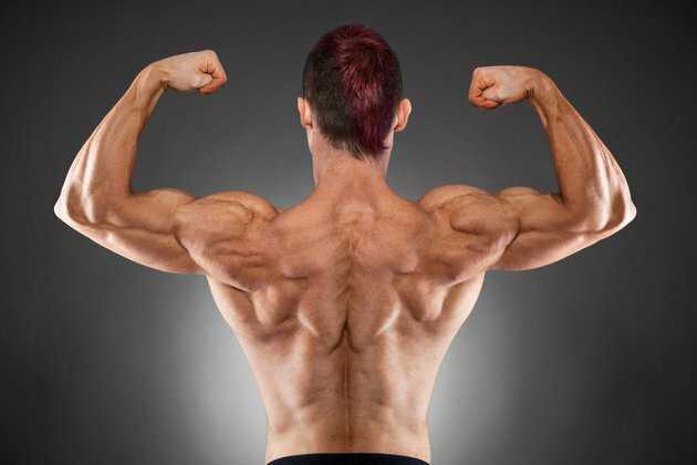5 мощных упражнений на плечи, которые увеличат их в два раза