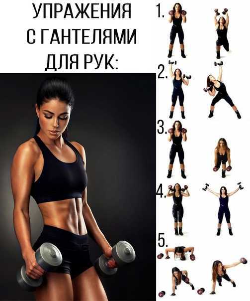 Как подкачать (накачать) руки девушке | rulebody.ru — правила тела