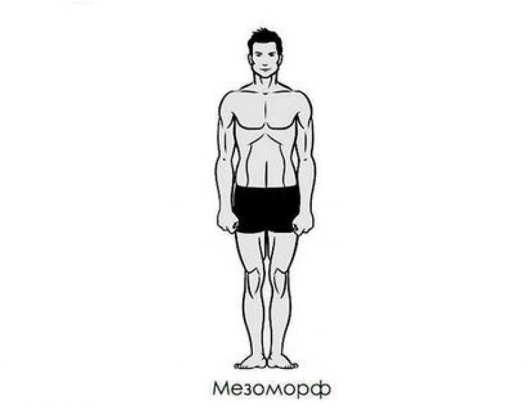 Мезоморф — программа тренировок на массу, питание для похудения