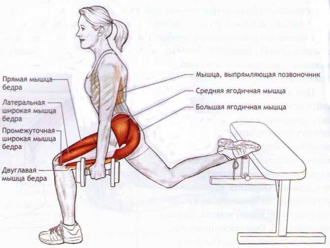 Тренажеры для ягодиц: упражнения на тренажерах для ягодичных мышц для женщин и мужчин