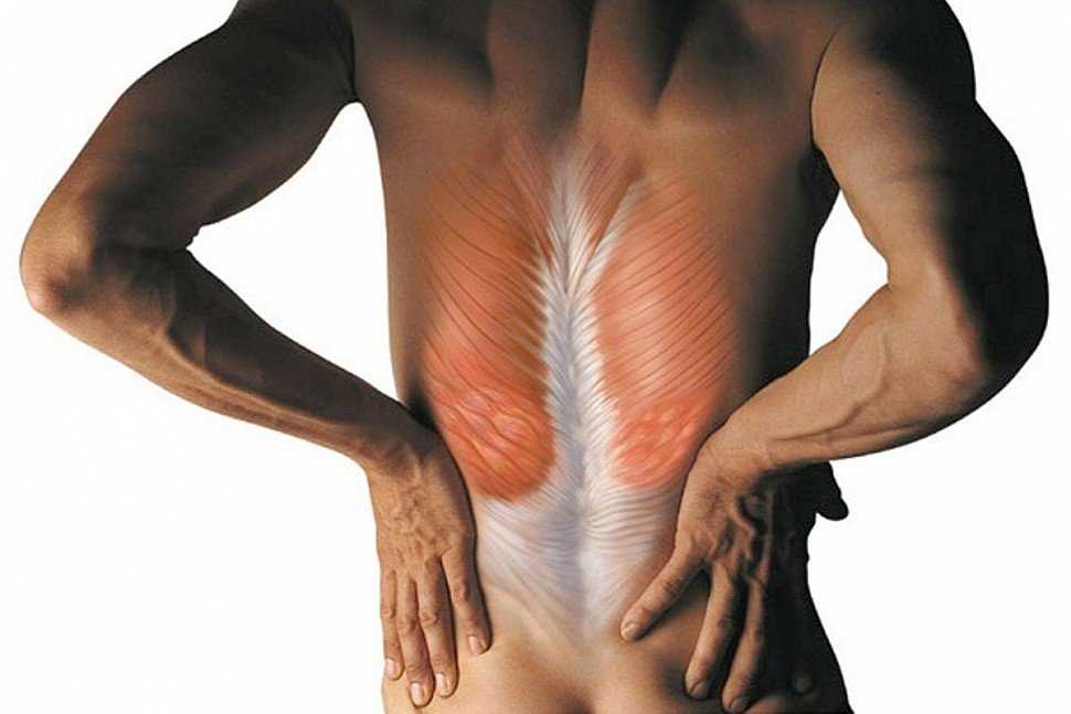 Болит спина позвоночник поясница. Псориатический миозит. Растяжение мышц спины.
