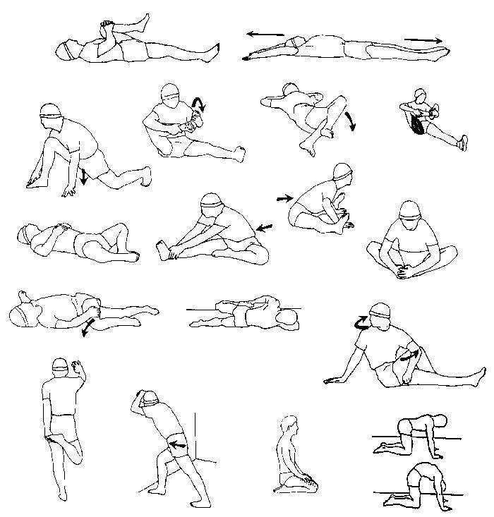Хорошая растяжка спины и позвоночника: польза, вред и противопоказания Упражнения для для тренировки в домашних условиях и в зале