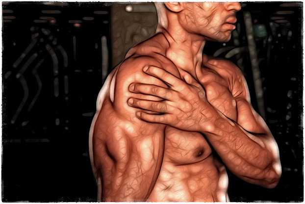 Как растут мышцы — гид новичка. что влияет на рост мышечной массы?