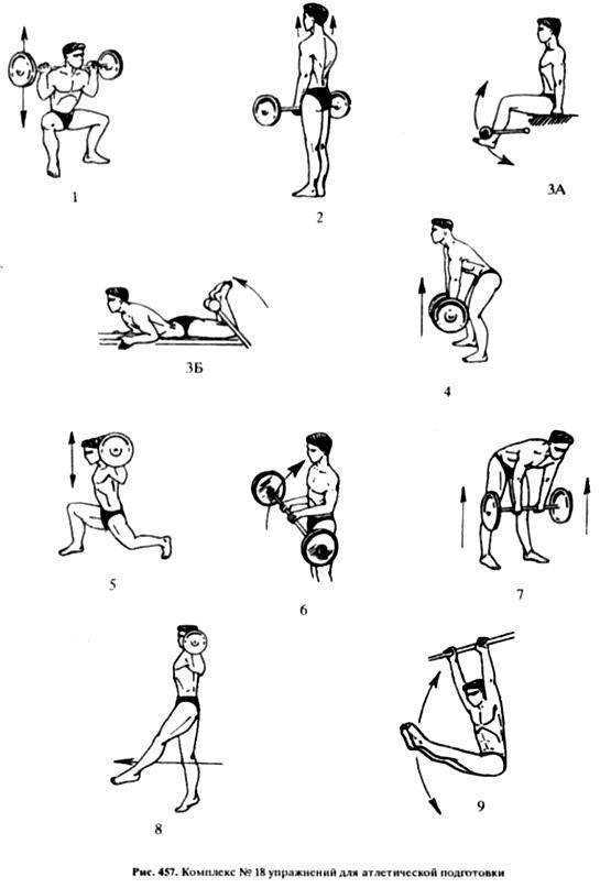 Силовые упражнения на все группы мышц: программа тренировок