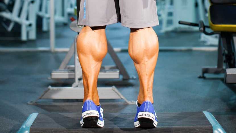 Икроножная мышца: упражнения на икры ног для мужчин и девушек