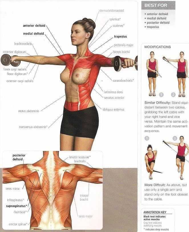 Как накачать внутреннюю часть грудных мышц