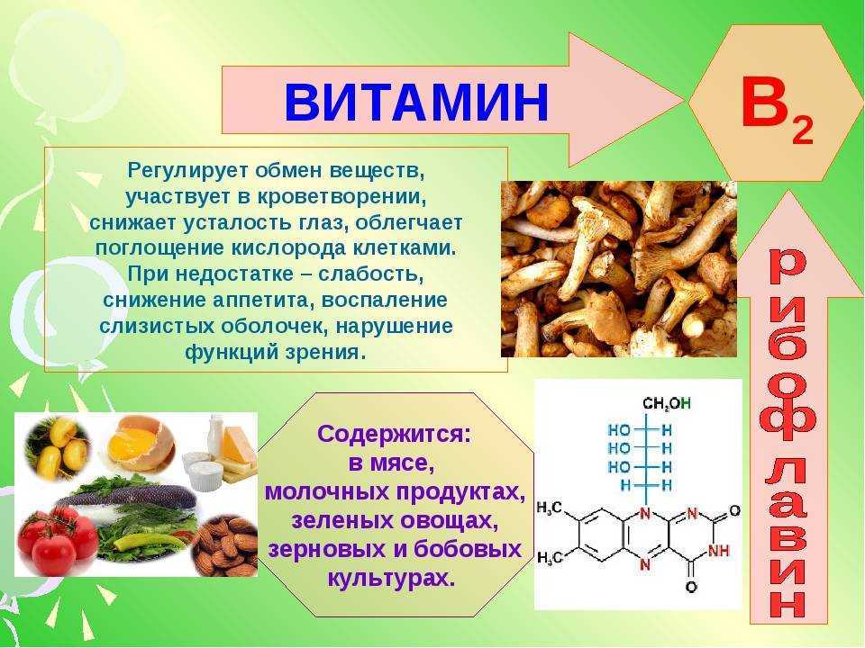 Витамин в2 в продуктах питания – источники рибофлавина