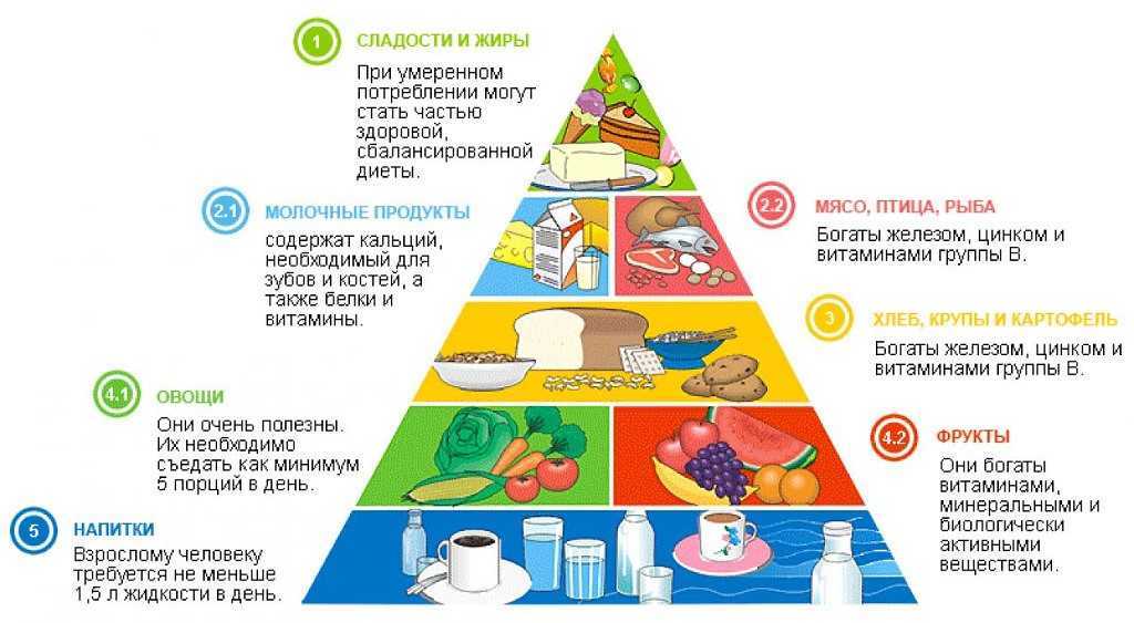 Пирамида питания – цели и рекомендации ученых по здоровому питанию |