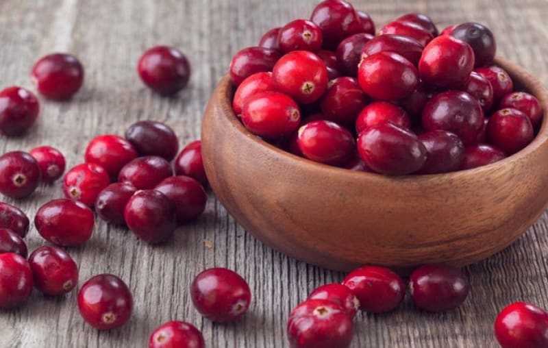 Полезные свойства и противопоказания ягод брусники, употребление в лечебных целях