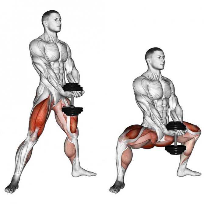 Какие мышцы можно качать в один день. какие мышцы следует тренировать вместе?
