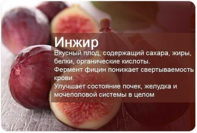Какие самые полезные фрукты в мире