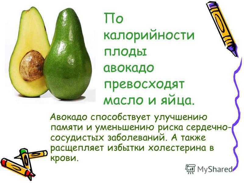 Авокадо: полезные свойства, калорийность и противопоказания