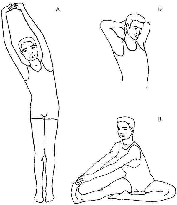 Комплекс упражнения для спины и трицепса в тренажерном зале