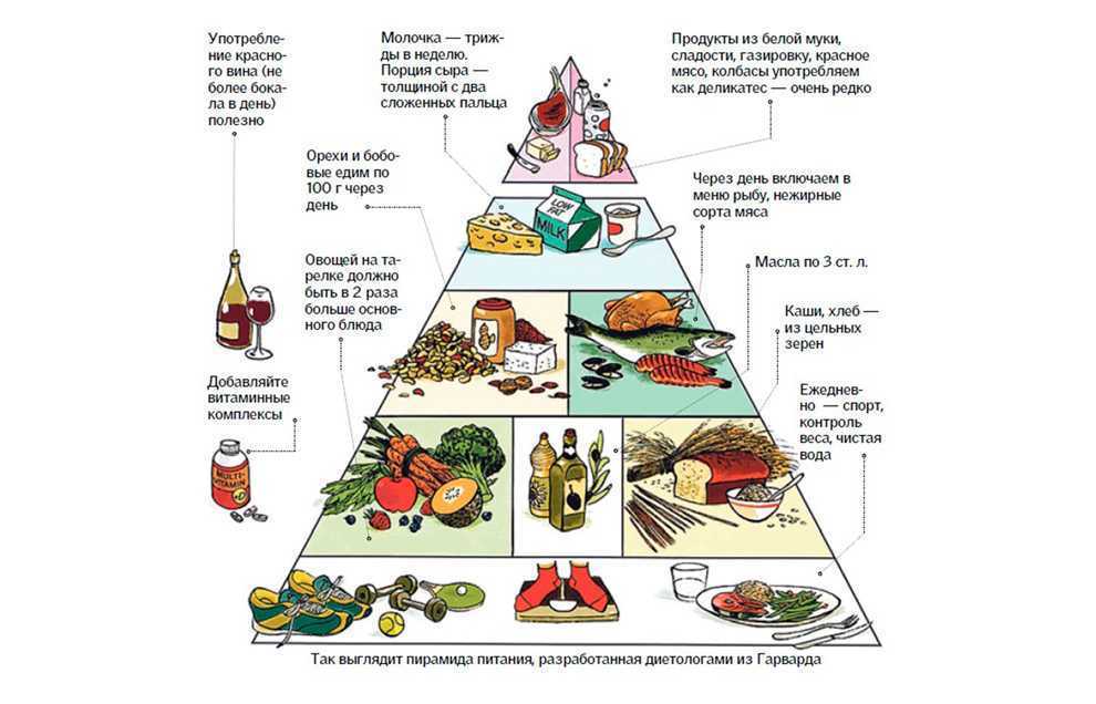 Правильное и сбалансированное питание по пищевой пирамиде