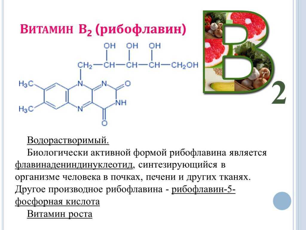 Знакомимся с витамином в2 – рибофлавином