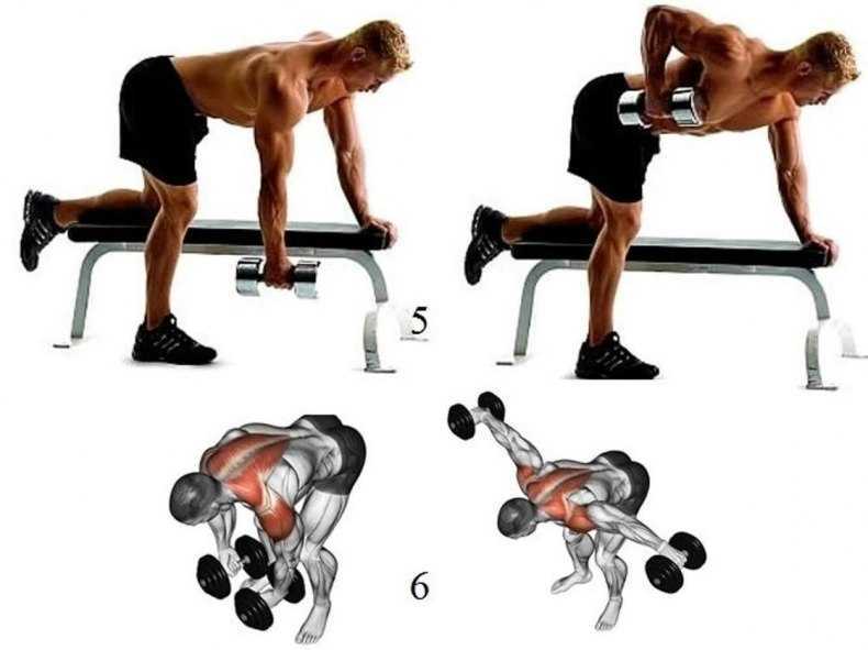 Упражнения на широчайшие мышцы спины со своим весом