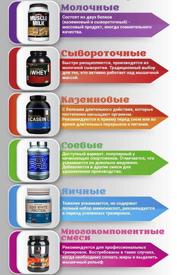 Гейнер или протеин что лучше для набора мышечной массы для спортсменов | irksportmol.ru
