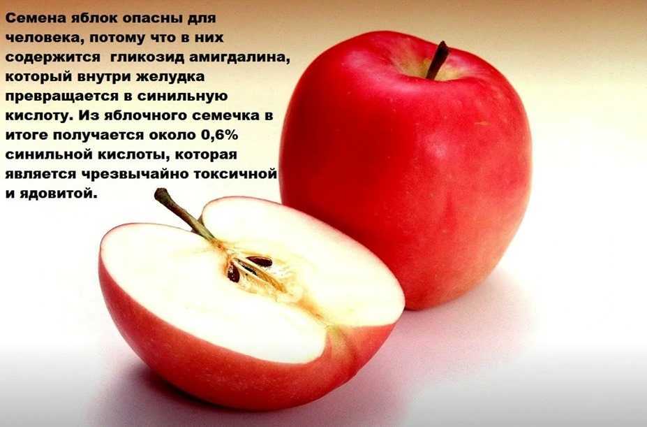 Яблочный сок: польза, вред и калорийность | food and health