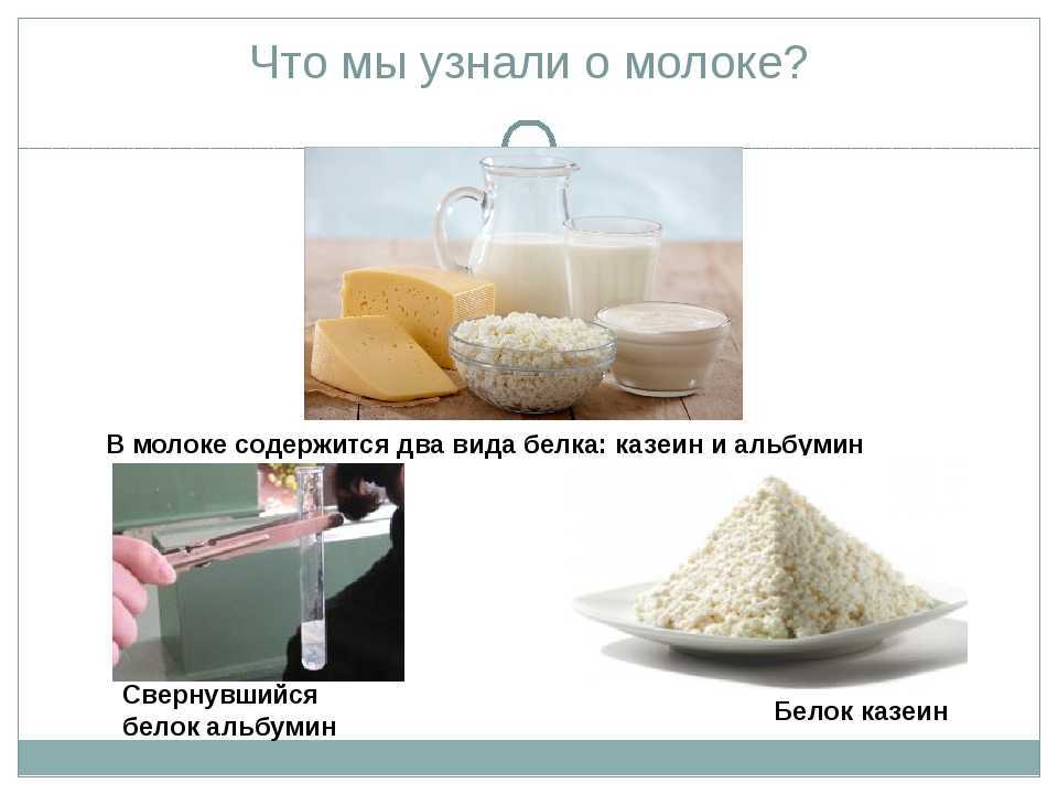 Молоко. химический состав и пищевая ценность - товароведение пищевых продуктов - для предприятия общепита - pitportal.ru – информационный портал