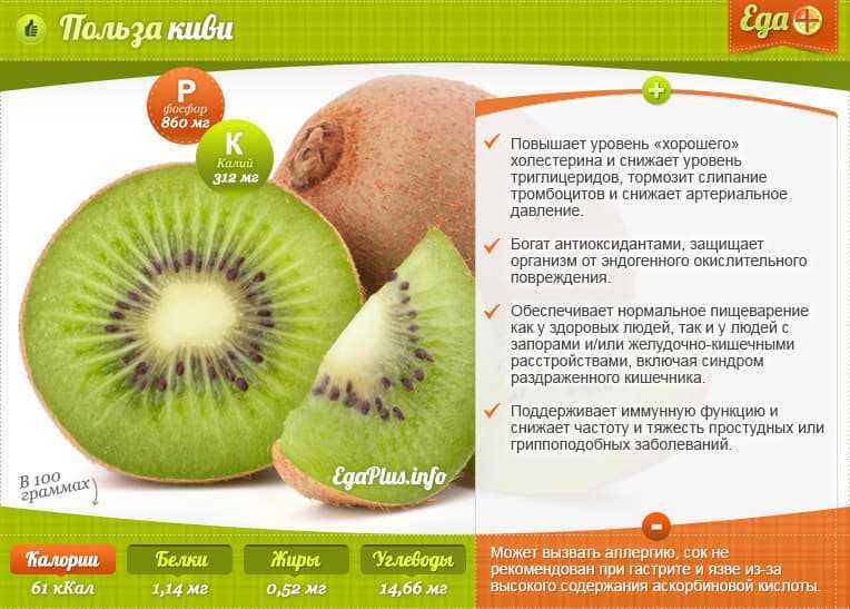 Киви – низкокалорийный фрукт, состав которого богат микро- и макроэлементами, полиненасыщенными жирными кислотами и витаминами