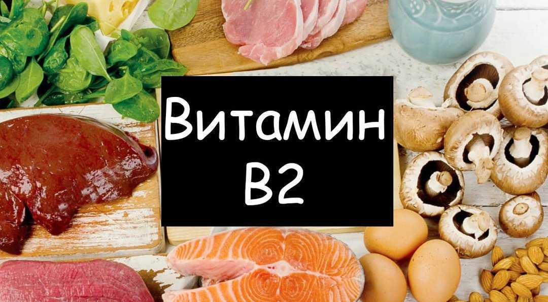 Витамин b2 (рибофлавин): свойства, польза источники в продуктах и норма