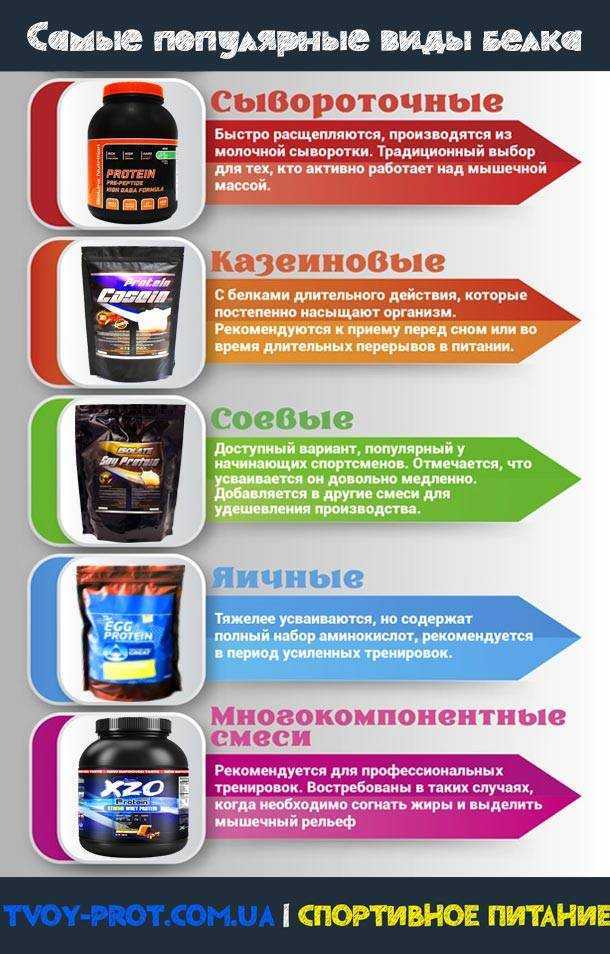 Протеин: противопоказания, побочные эффекты, состав, инструкция по применению, показания - tony.ru